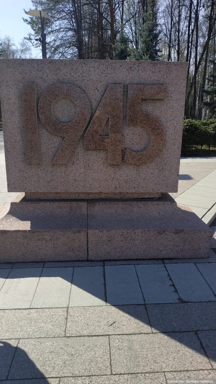 Василёк на выставке военной техники (фото 4)