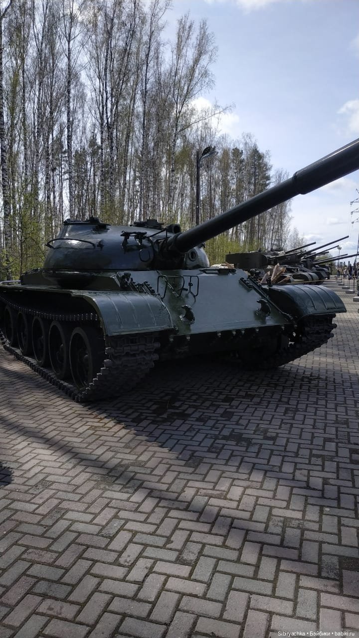 Василёк на выставке военной техники