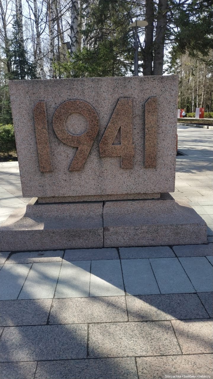 Василёк на выставке военной техники (фото 3)