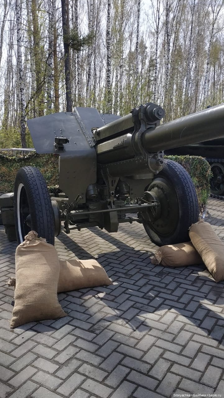 Василёк на выставке военной техники