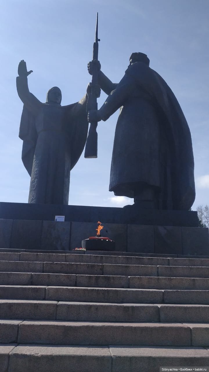 Василёк на выставке военной техники