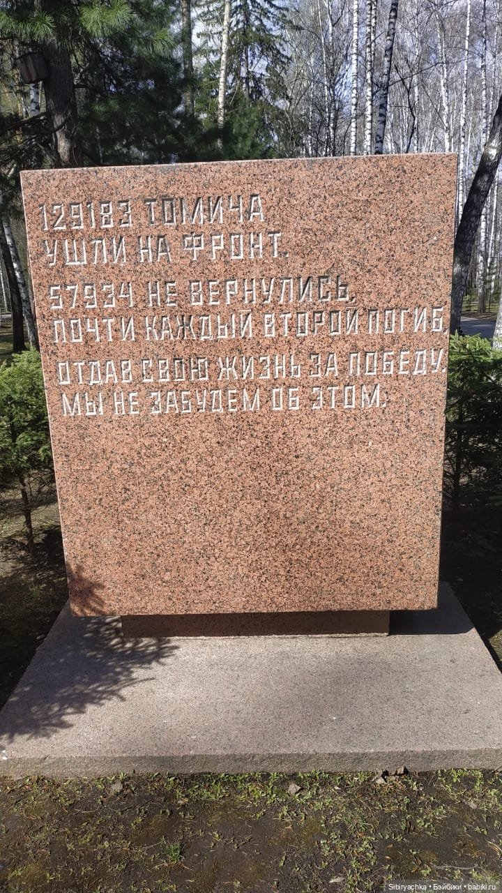 Василёк на выставке военной техники (фото 9)