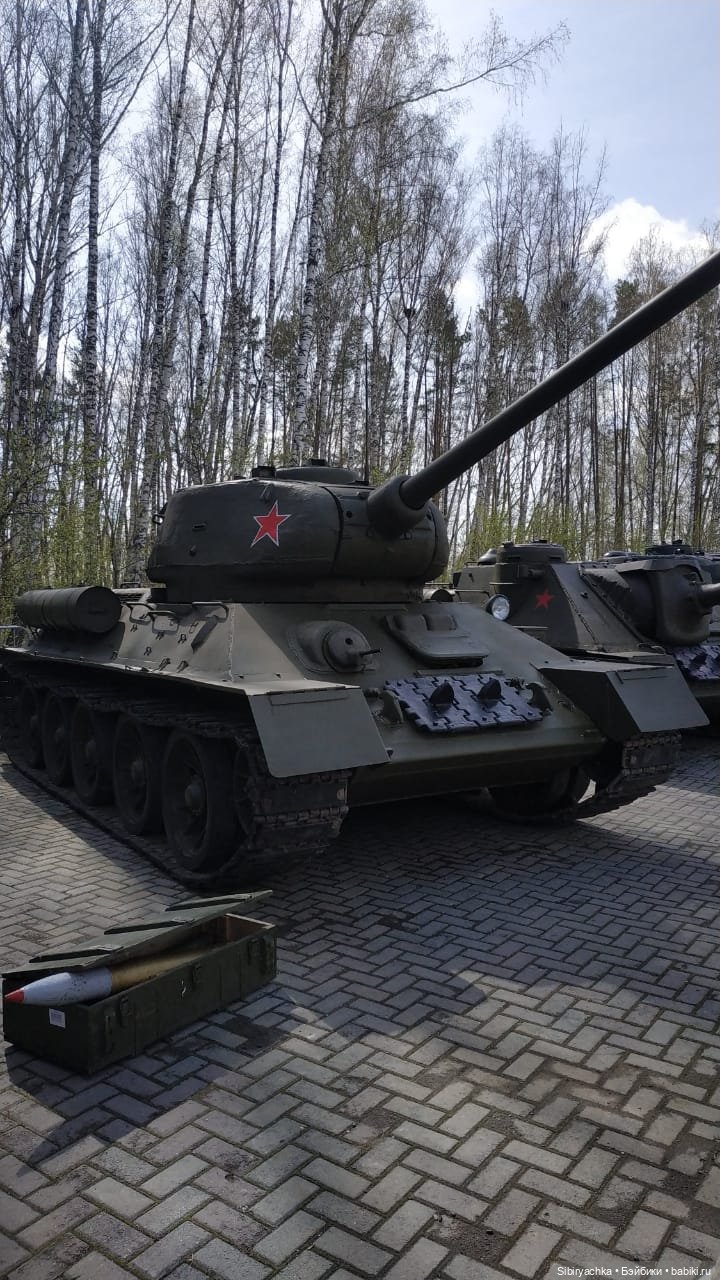 Василёк на выставке военной техники