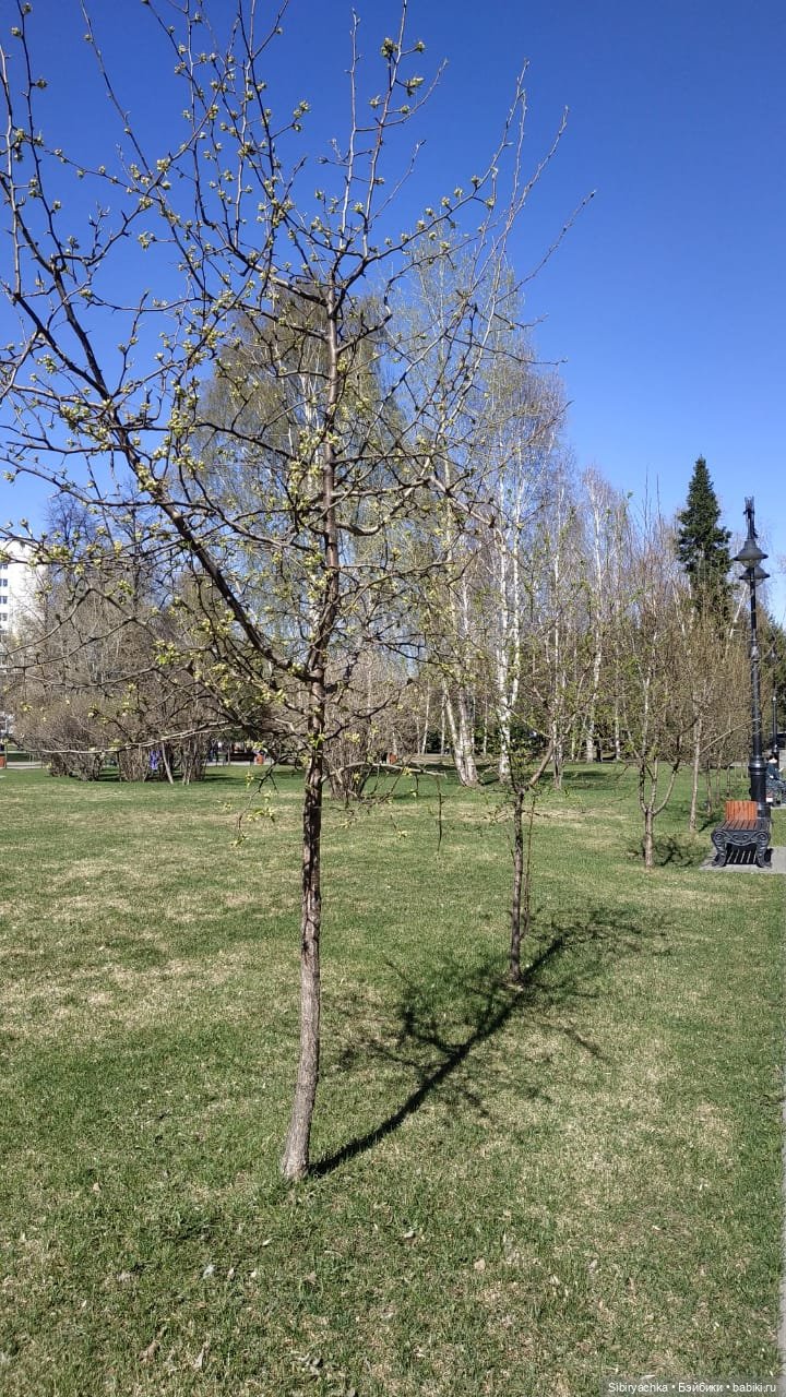 Майский денёк в Городском саду