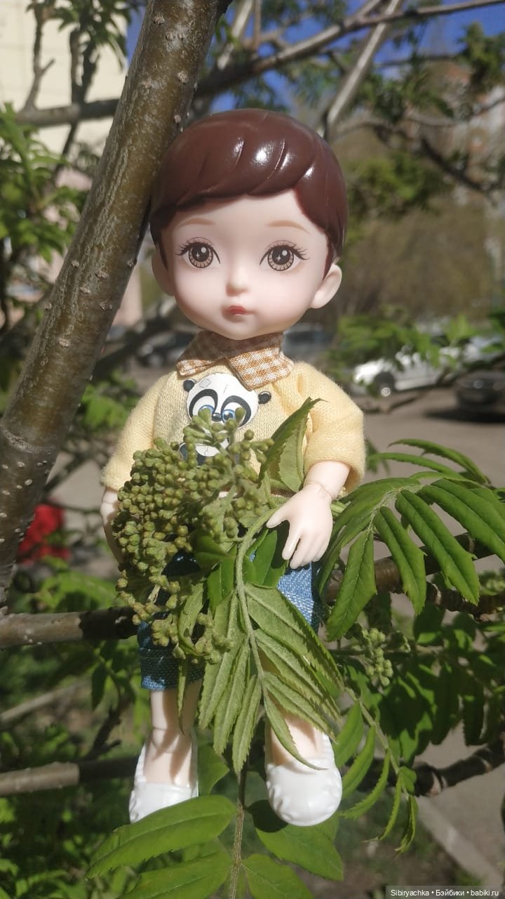 Первая майская прогулка Коленьки (фото 5)