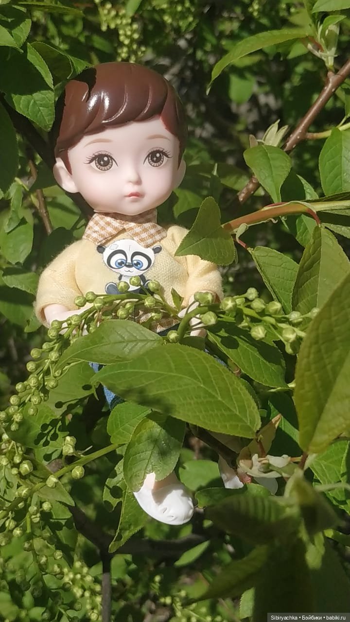 Первая майская прогулка Коленьки (фото 6)