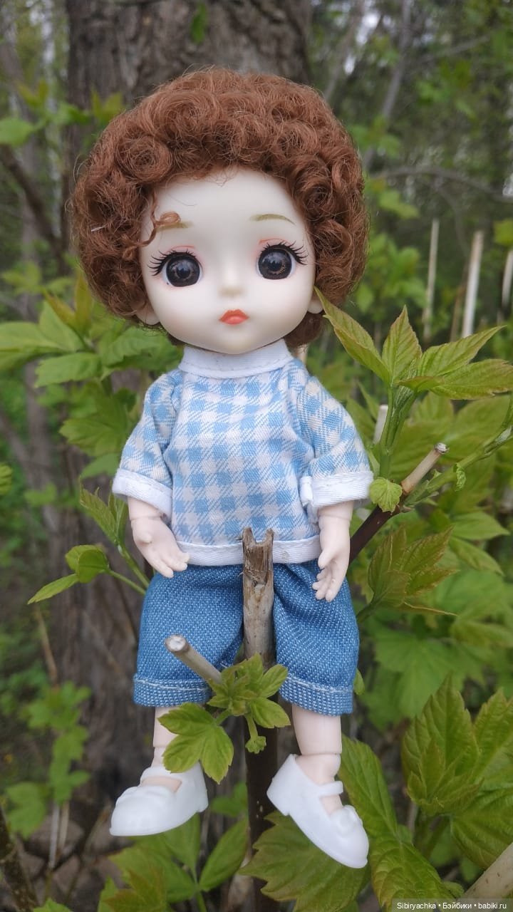 Коленька и Василёк быстро подружились