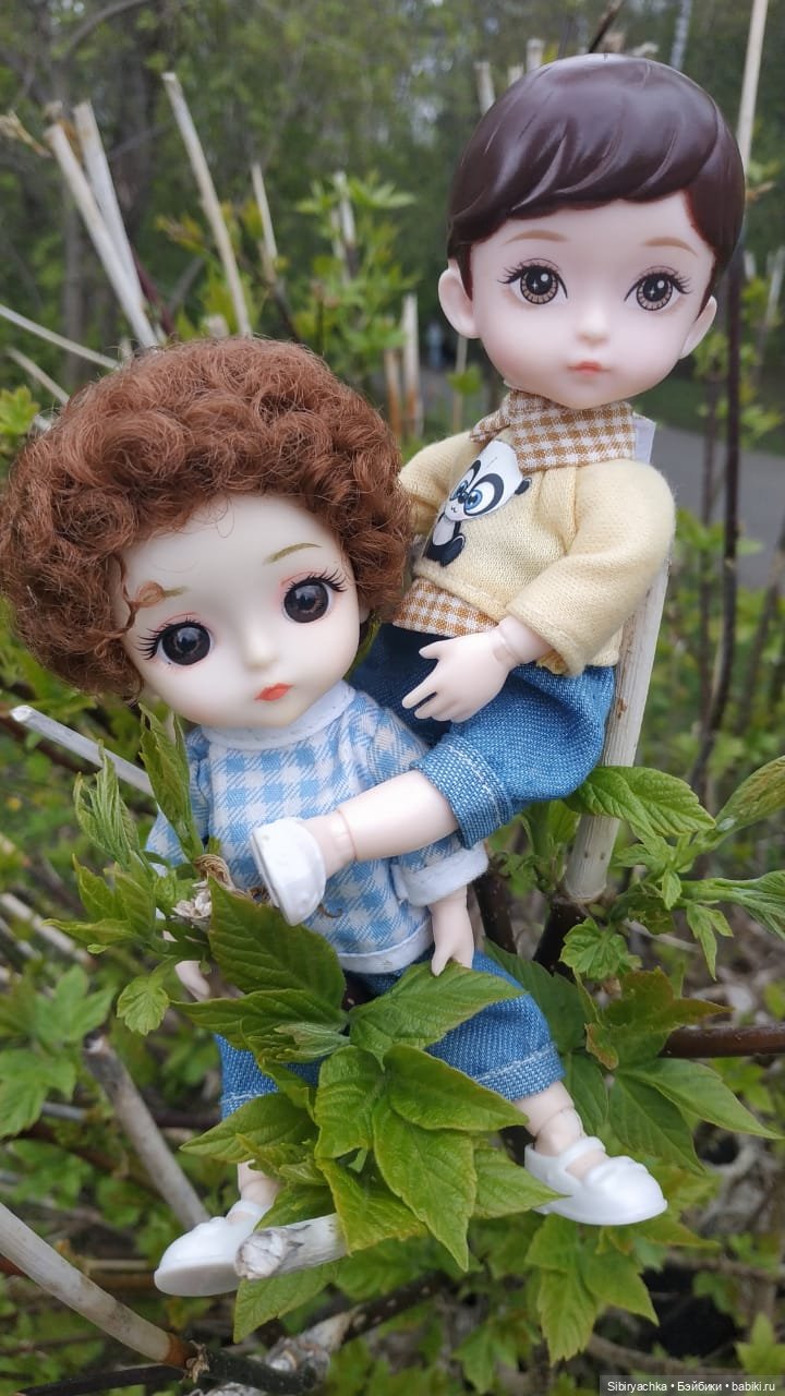 Коленька и Василёк быстро подружились