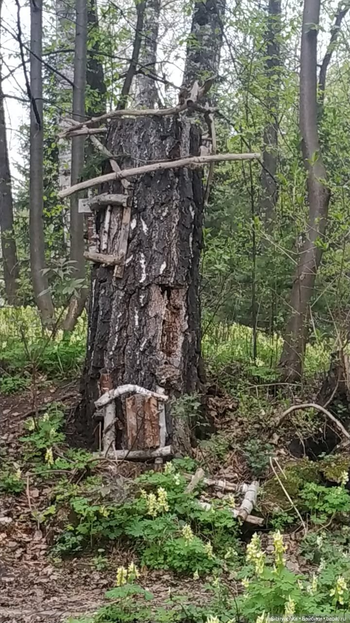 Коленька и Василёк быстро подружились