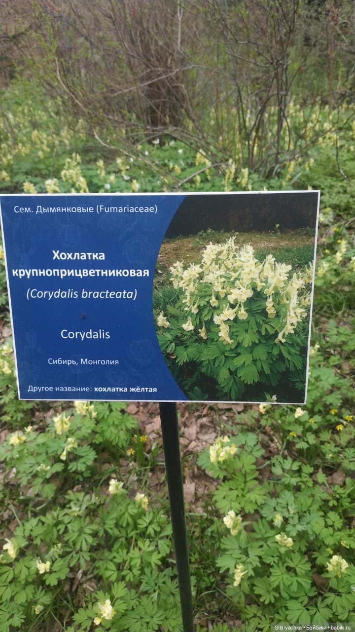 Коленька и Василёк быстро подружились (фото 5)