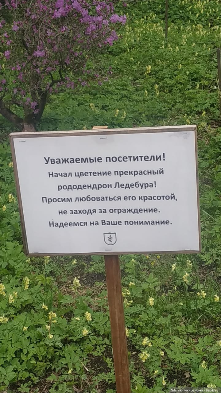 Коленька и Василёк быстро подружились (фото 3)