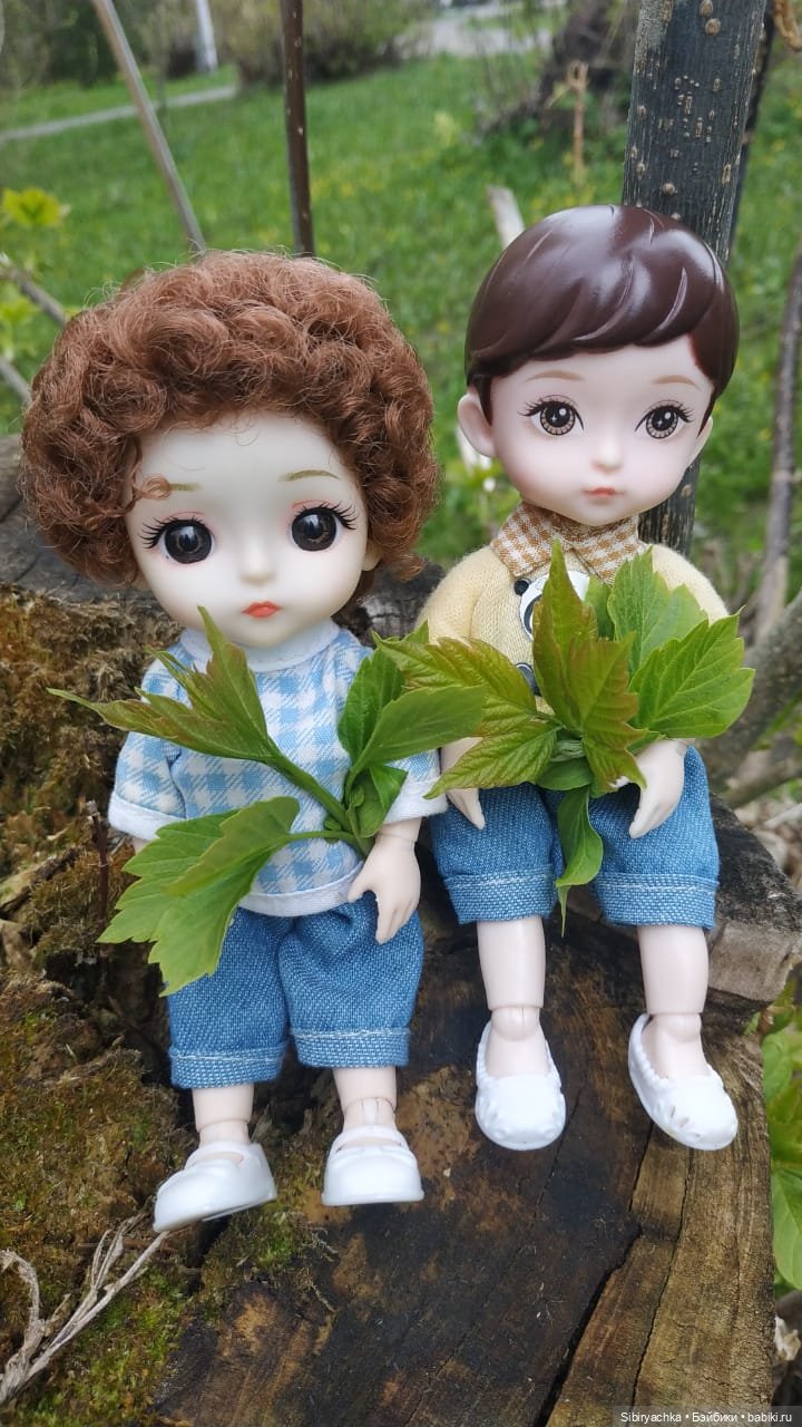 Коленька и Василёк быстро подружились