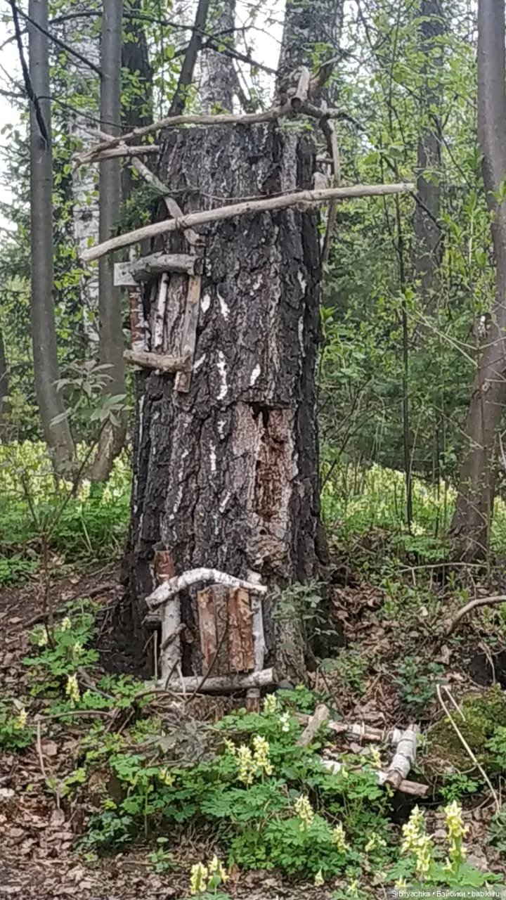Коленька и Василёк быстро подружились