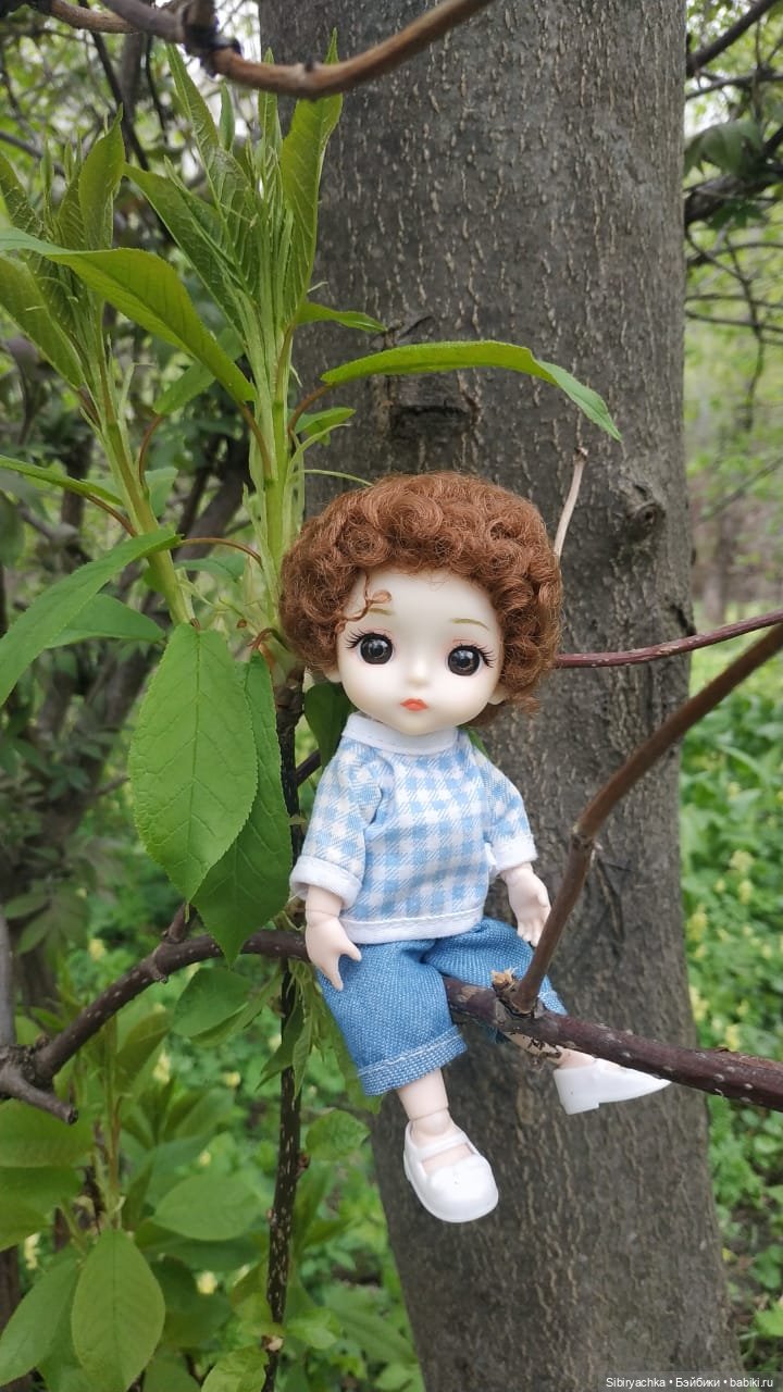 Коленька и Василёк быстро подружились (фото 8)