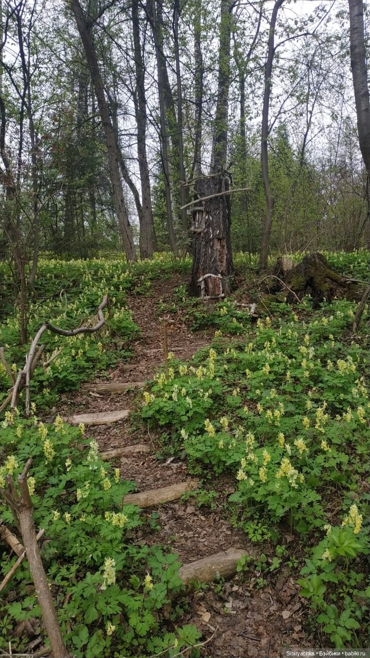 Коленька и Василёк быстро подружились