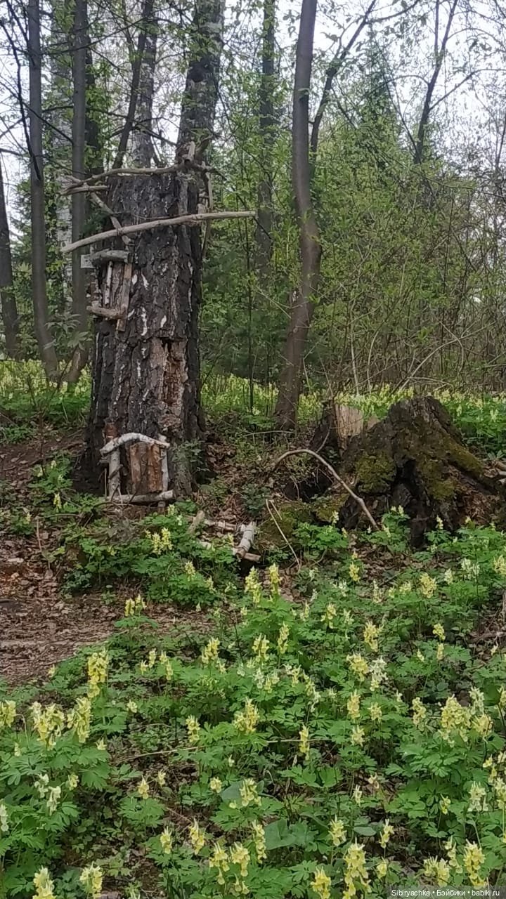 Коленька и Василёк быстро подружились