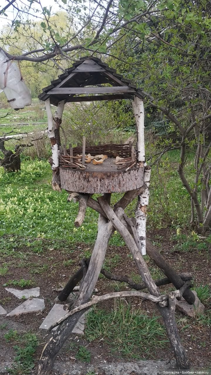 Коленька и Василёк быстро подружились