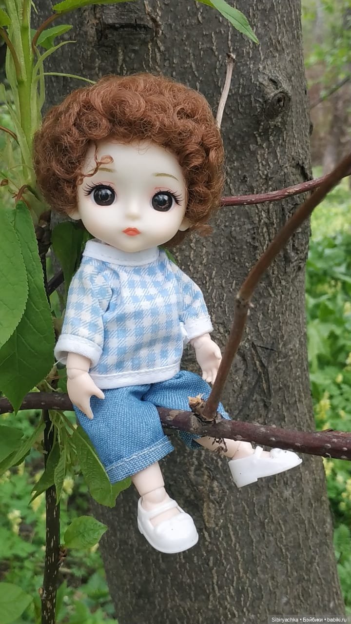 Коленька и Василёк быстро подружились (фото 9)