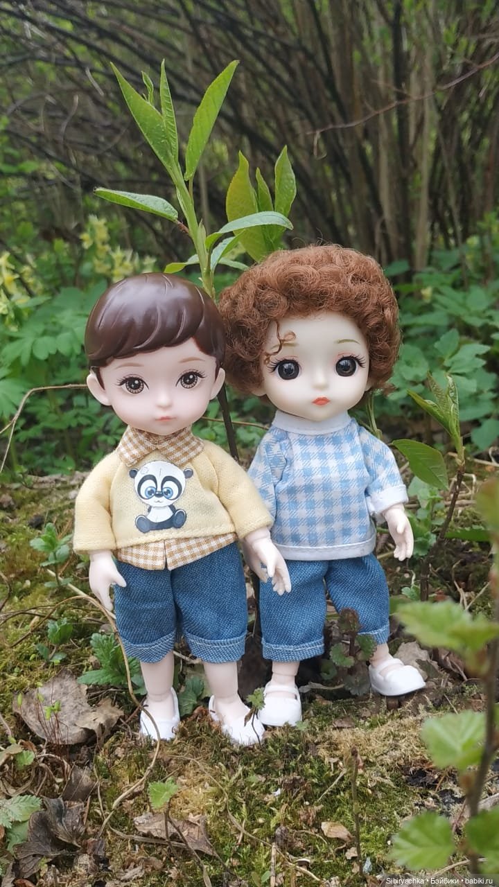 Коленька и Василёк быстро подружились (фото 7)