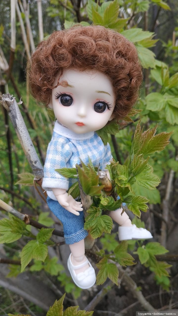 Коленька и Василёк быстро подружились