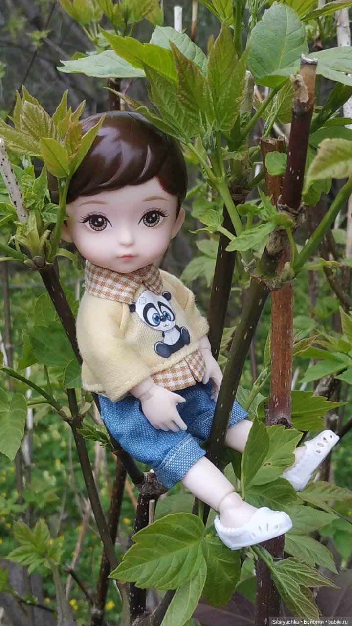 Коленька и Василёк быстро подружились