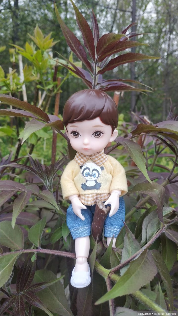 Коленька и Василёк быстро подружились