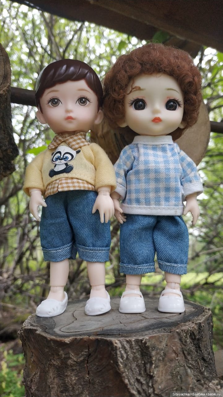 Коленька и Василёк быстро подружились