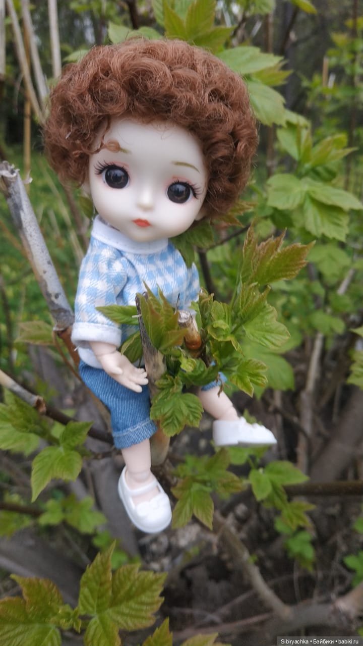 Коленька и Василёк быстро подружились