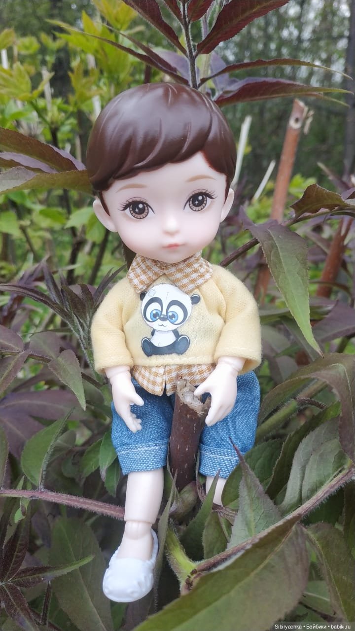 Коленька и Василёк быстро подружились