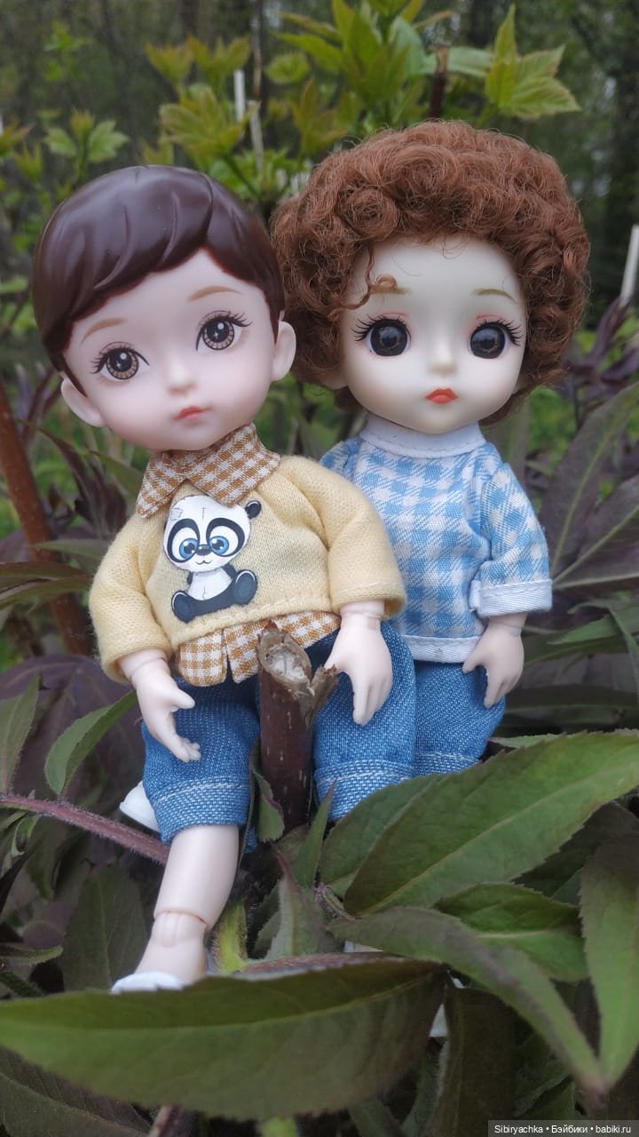 Коленька и Василёк быстро подружились