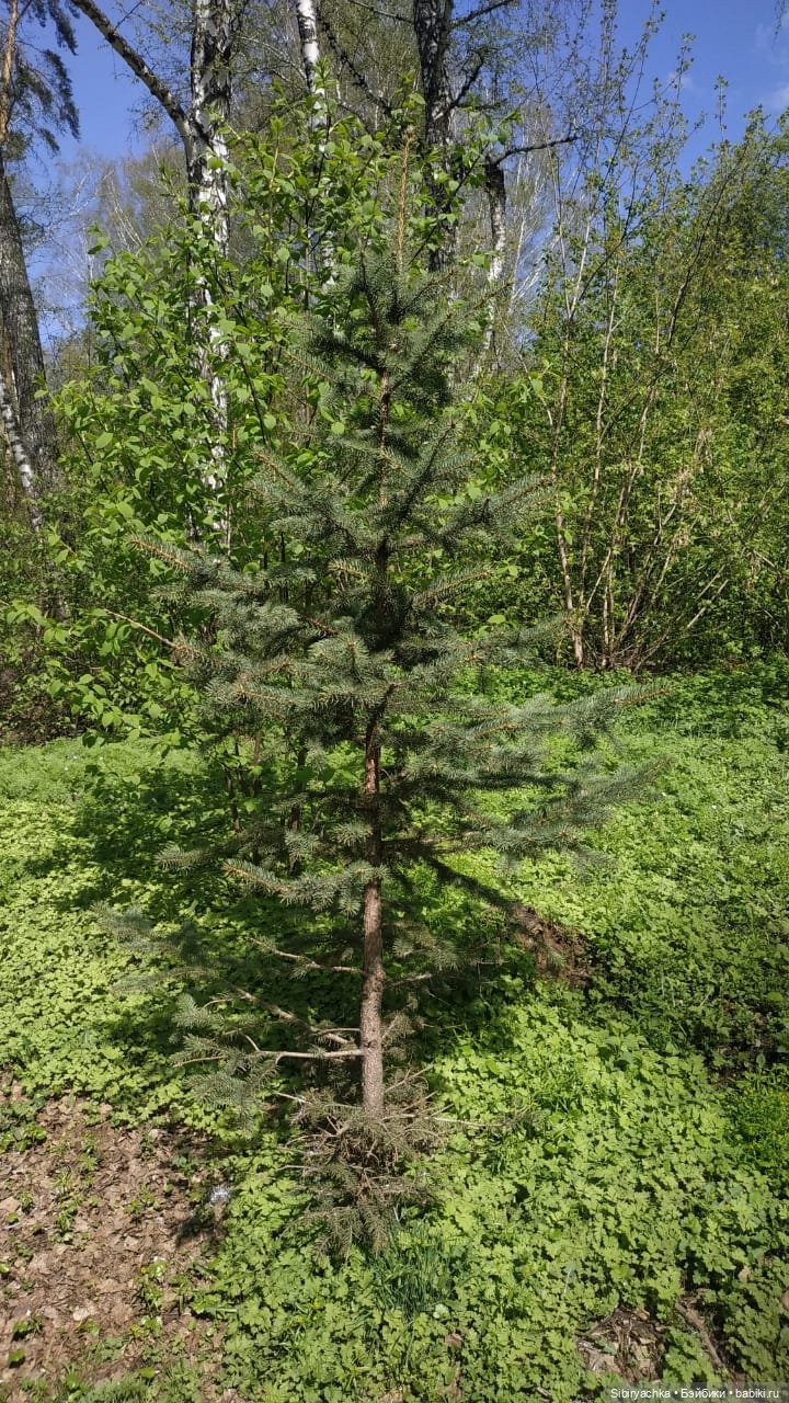 Ни дня без прогулок — Игровые куклы разных производителей (Разное): редкие бренды