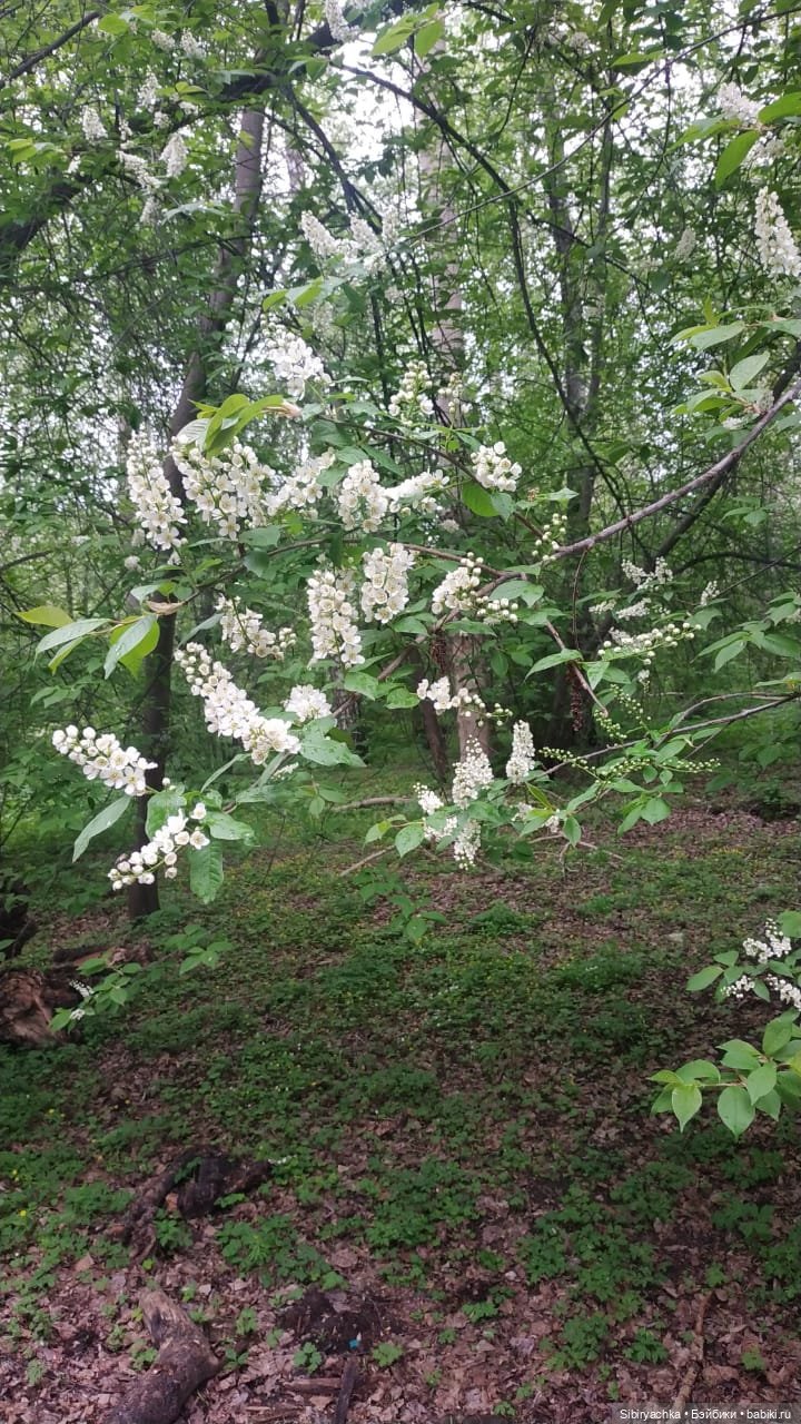 Ни дня без прогулок — Игровые куклы разных производителей (Разное): редкие бренды