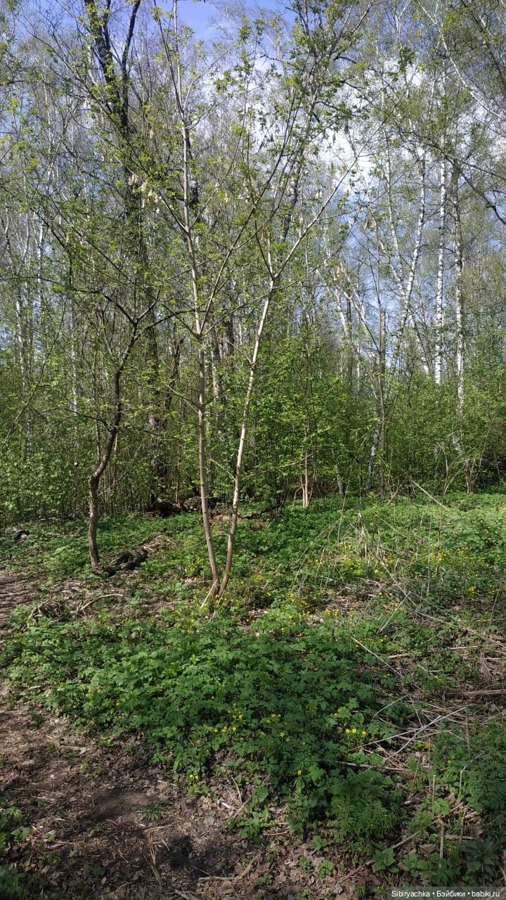 Ни дня без прогулок — Игровые куклы разных производителей (Разное): редкие бренды