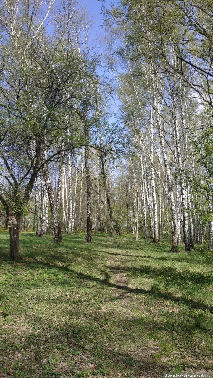 Ни дня без прогулок — Игровые куклы разных производителей (Разное): редкие бренды