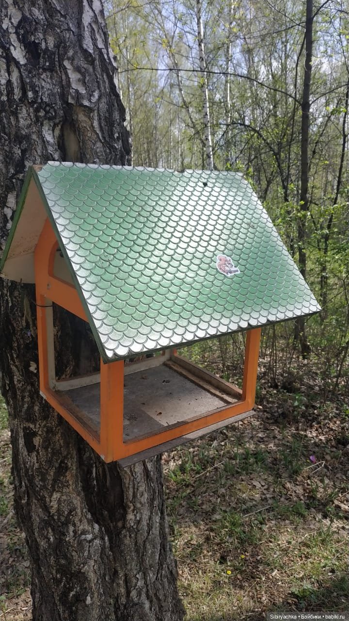 Ни дня без прогулок — Игровые куклы разных производителей (Разное): редкие бренды