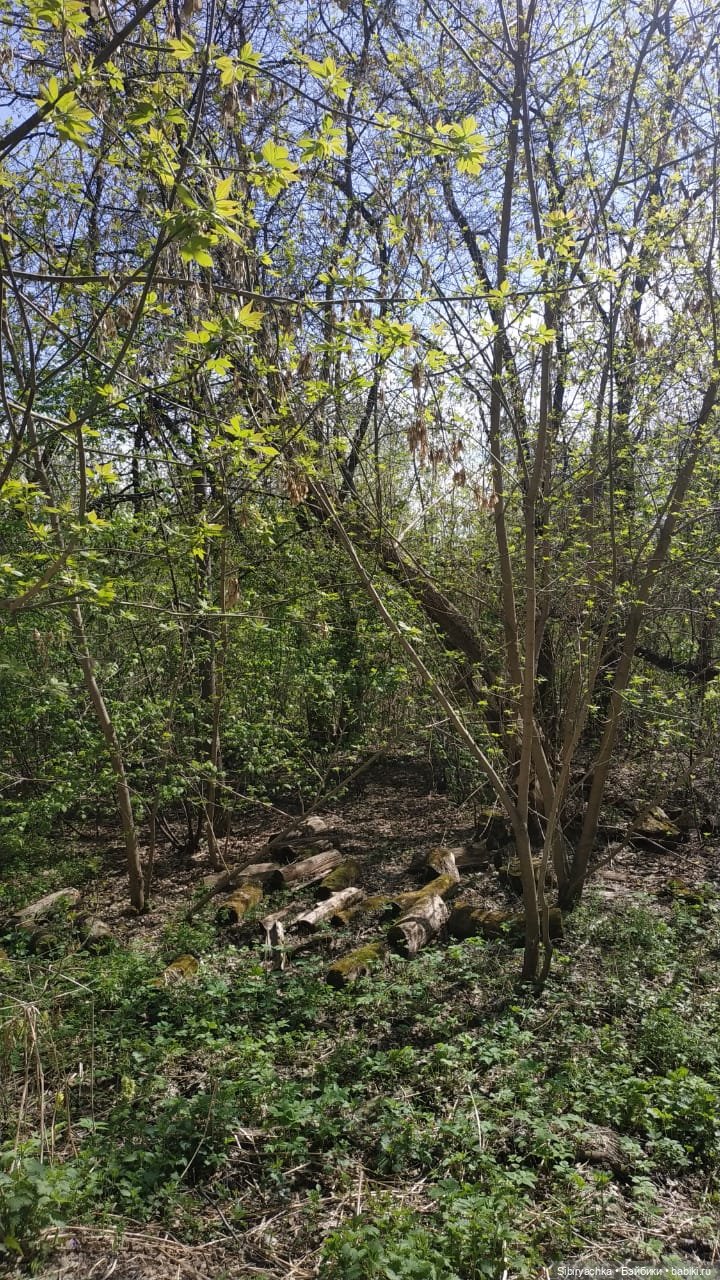 Ни дня без прогулок — Игровые куклы разных производителей (Разное): редкие бренды