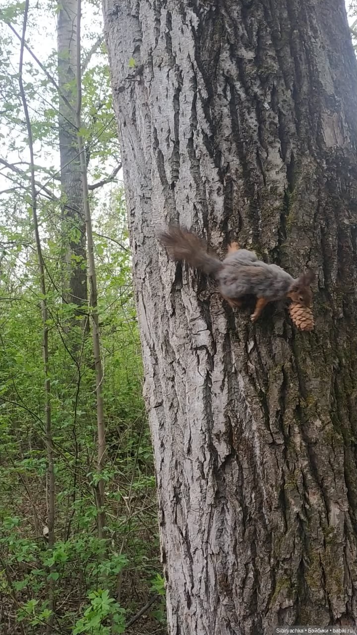 Ни дня без прогулок — Игровые куклы разных производителей (Разное): редкие бренды