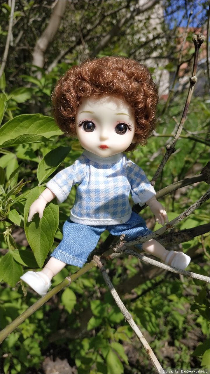 Коленька и Василёк снова гуляют (фото 5)