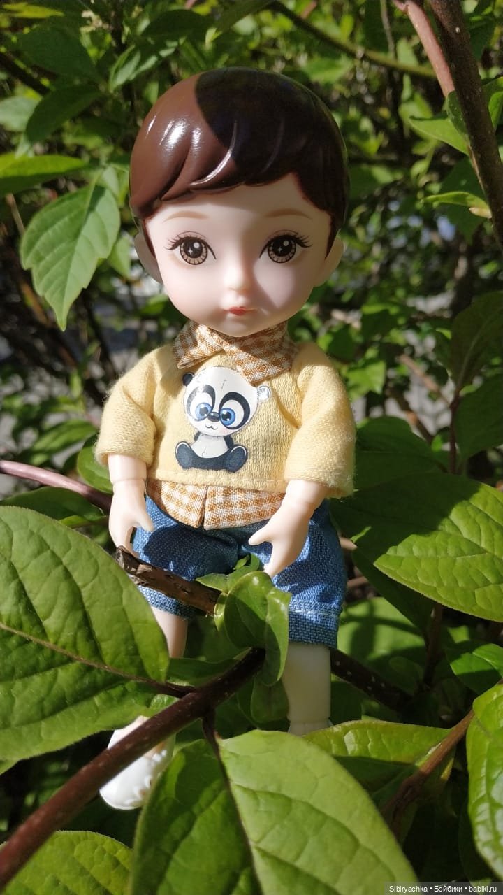 Коленька и Василёк снова гуляют