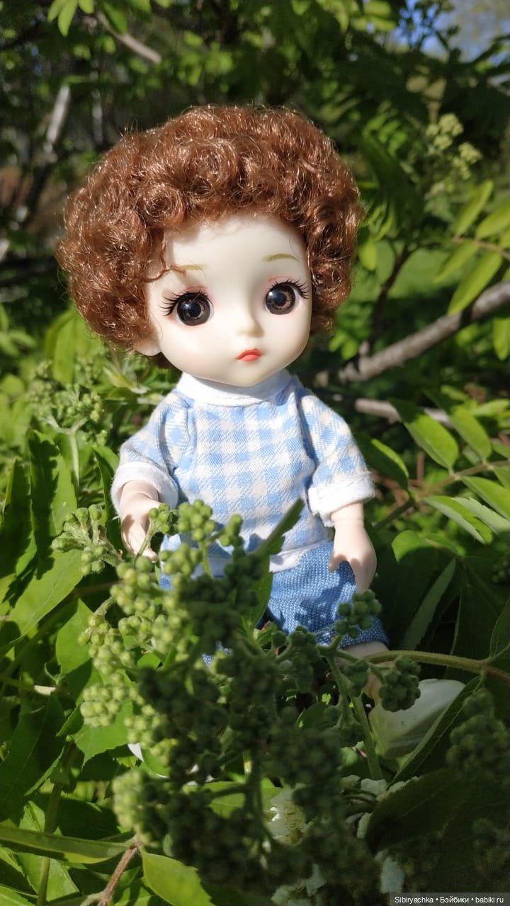 Коленька и Василёк снова гуляют