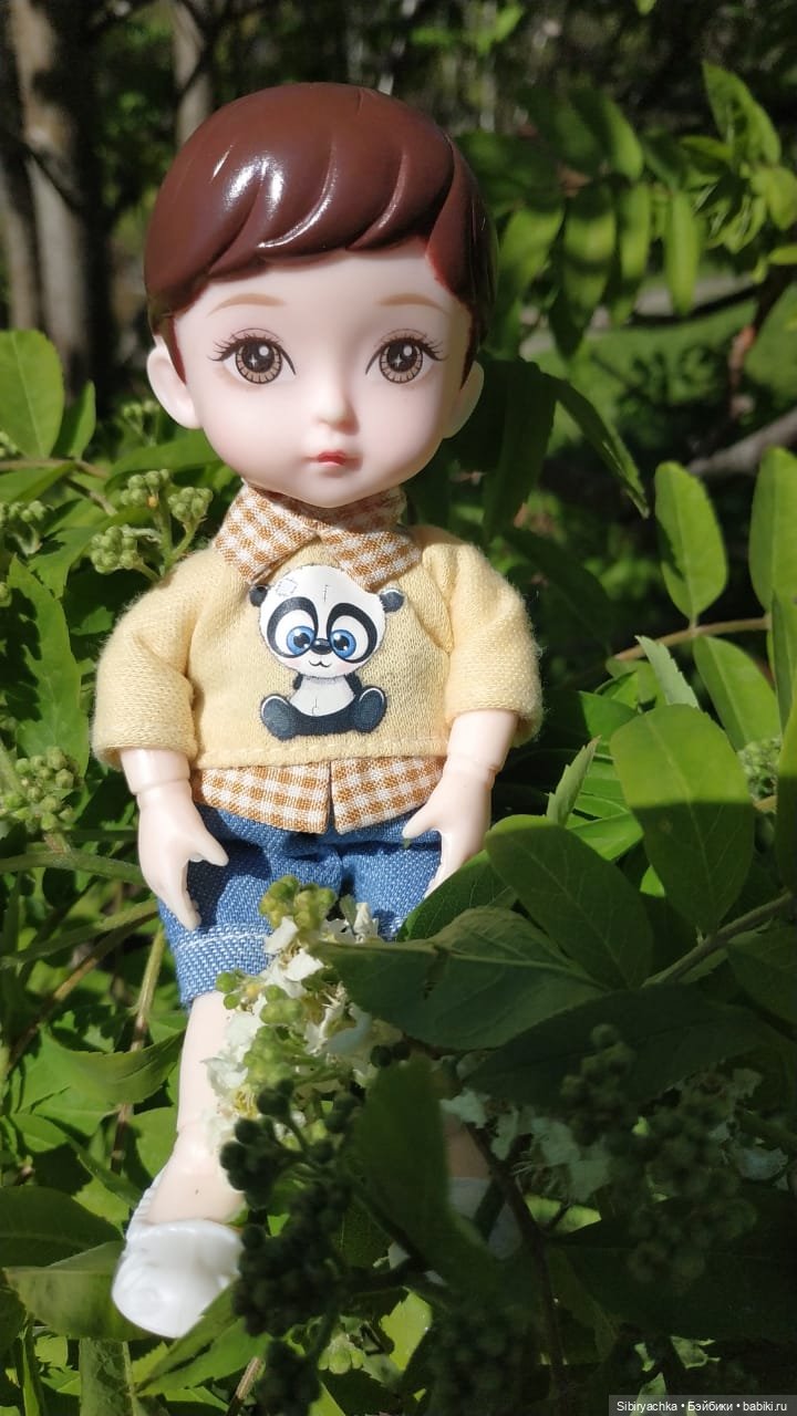 Коленька и Василёк снова гуляют (фото 3)