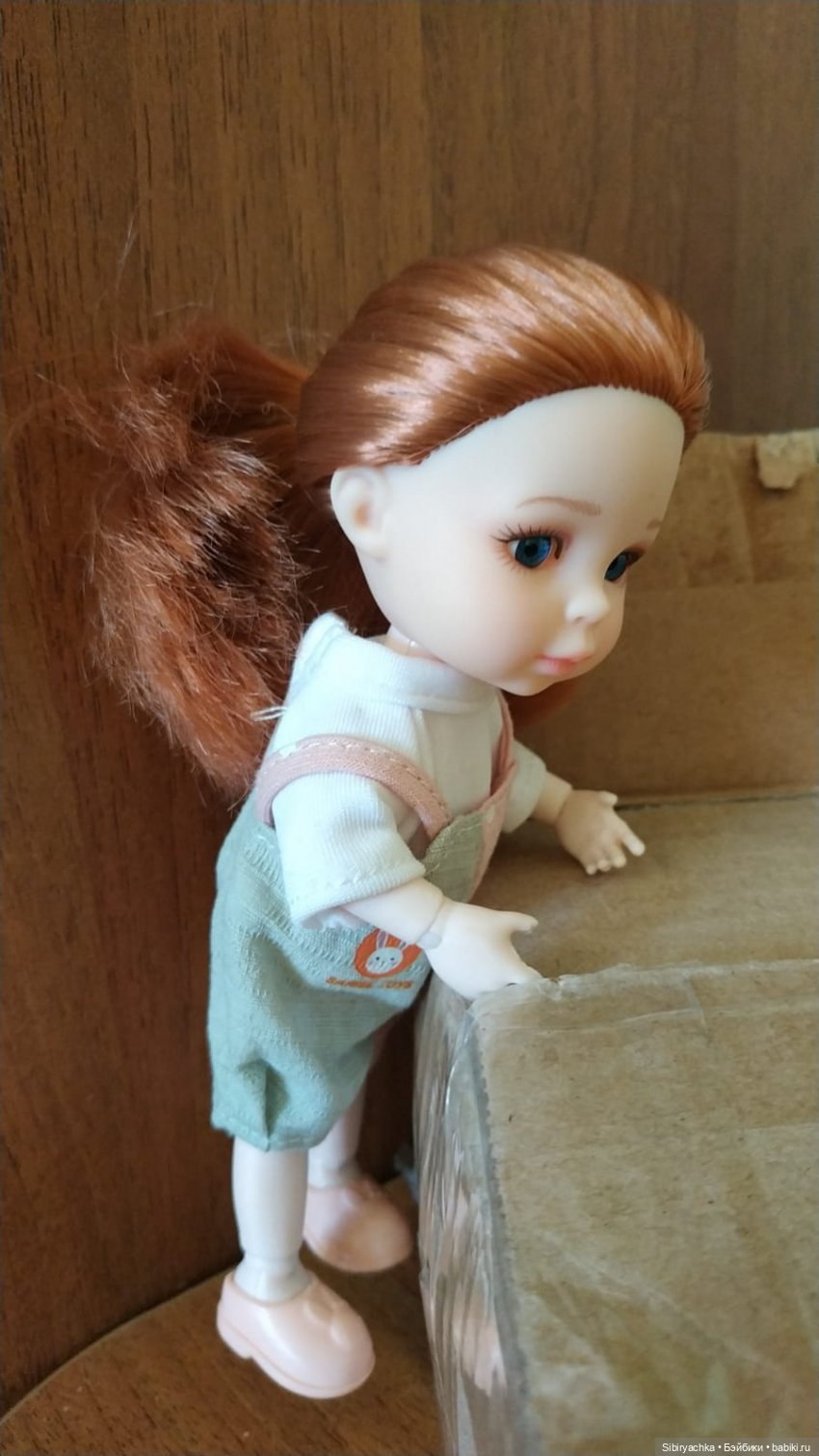 Чудесная посылочка — Игровые куклы разных производителей (Разное): редкие бренды