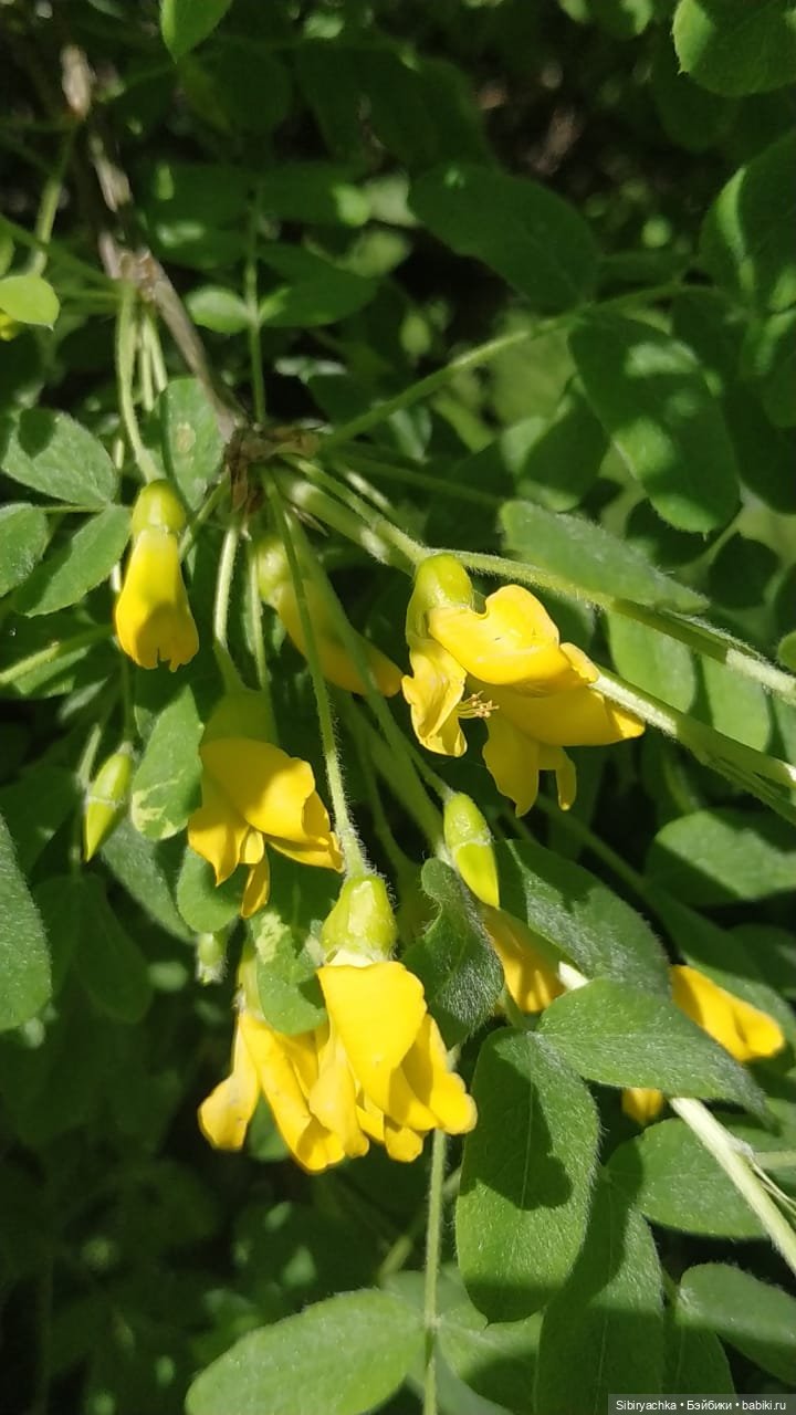 Майская прогулка Глаши и Сонечки