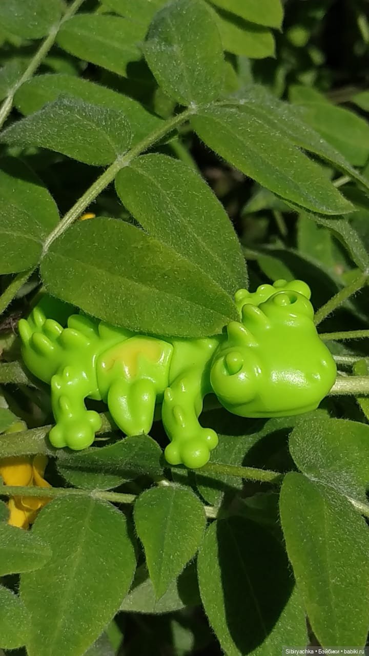 Первая летняя прогулка Лизоньки и Полины