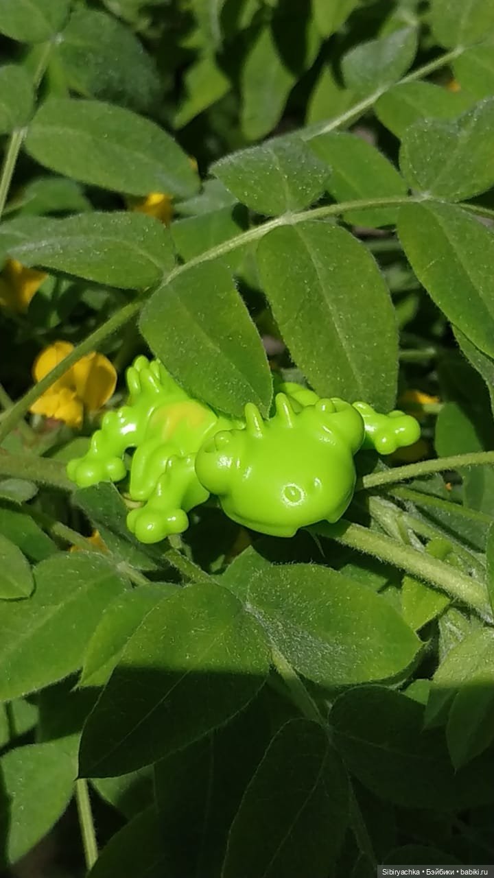 Первая летняя прогулка Лизоньки и Полины