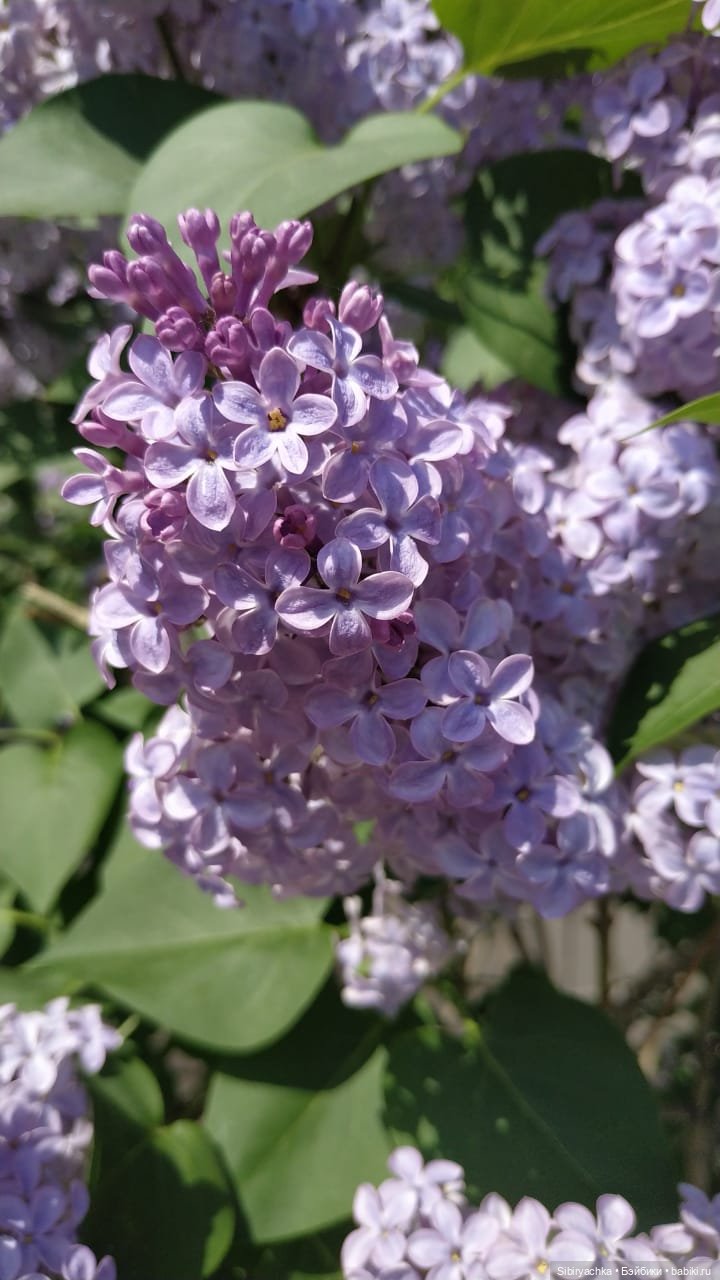 Летняя прогулка Глаши — Игровые куклы разных производителей (Разное): редкие бренды