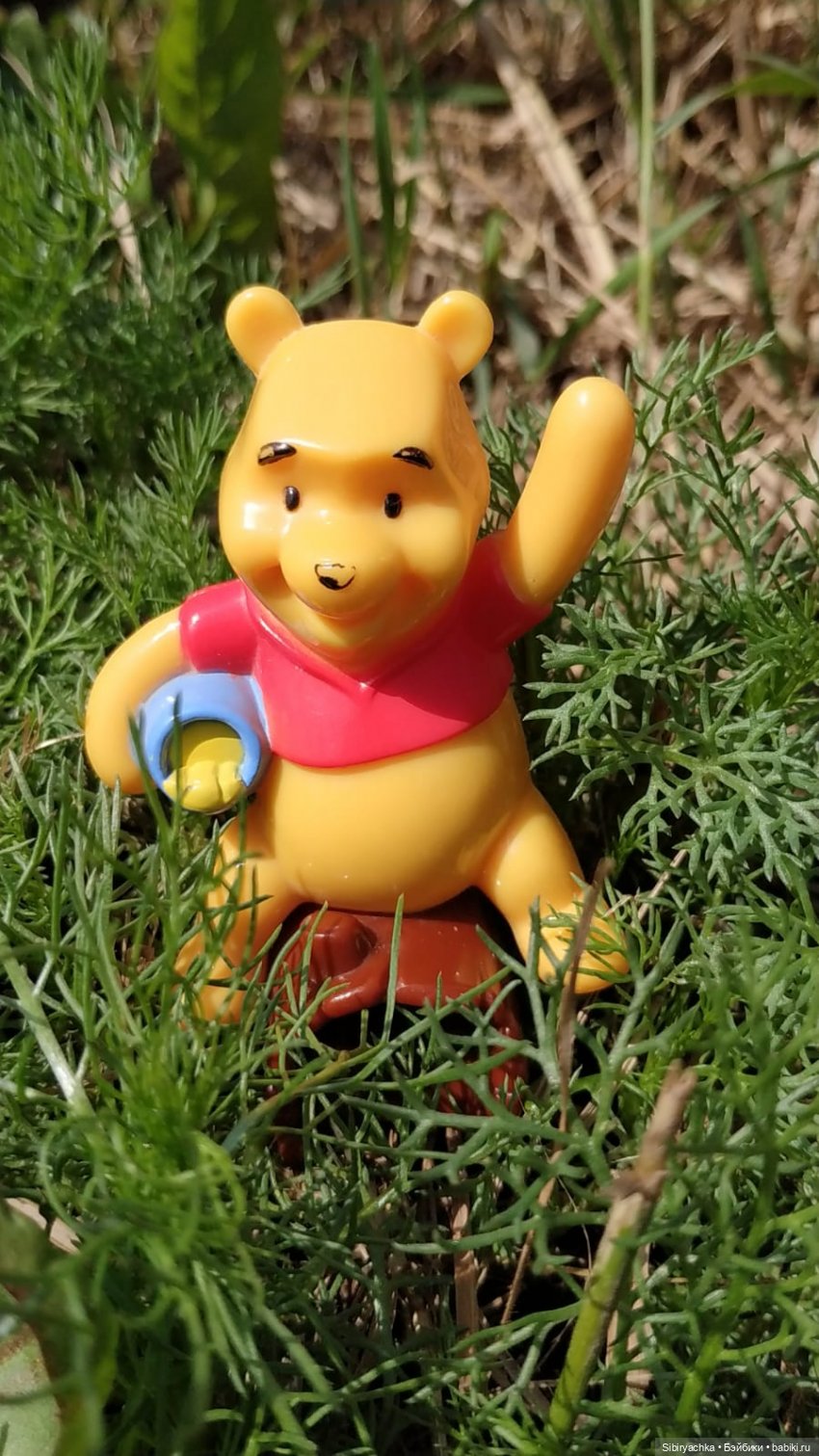 Обычный летний день в деревне Радость