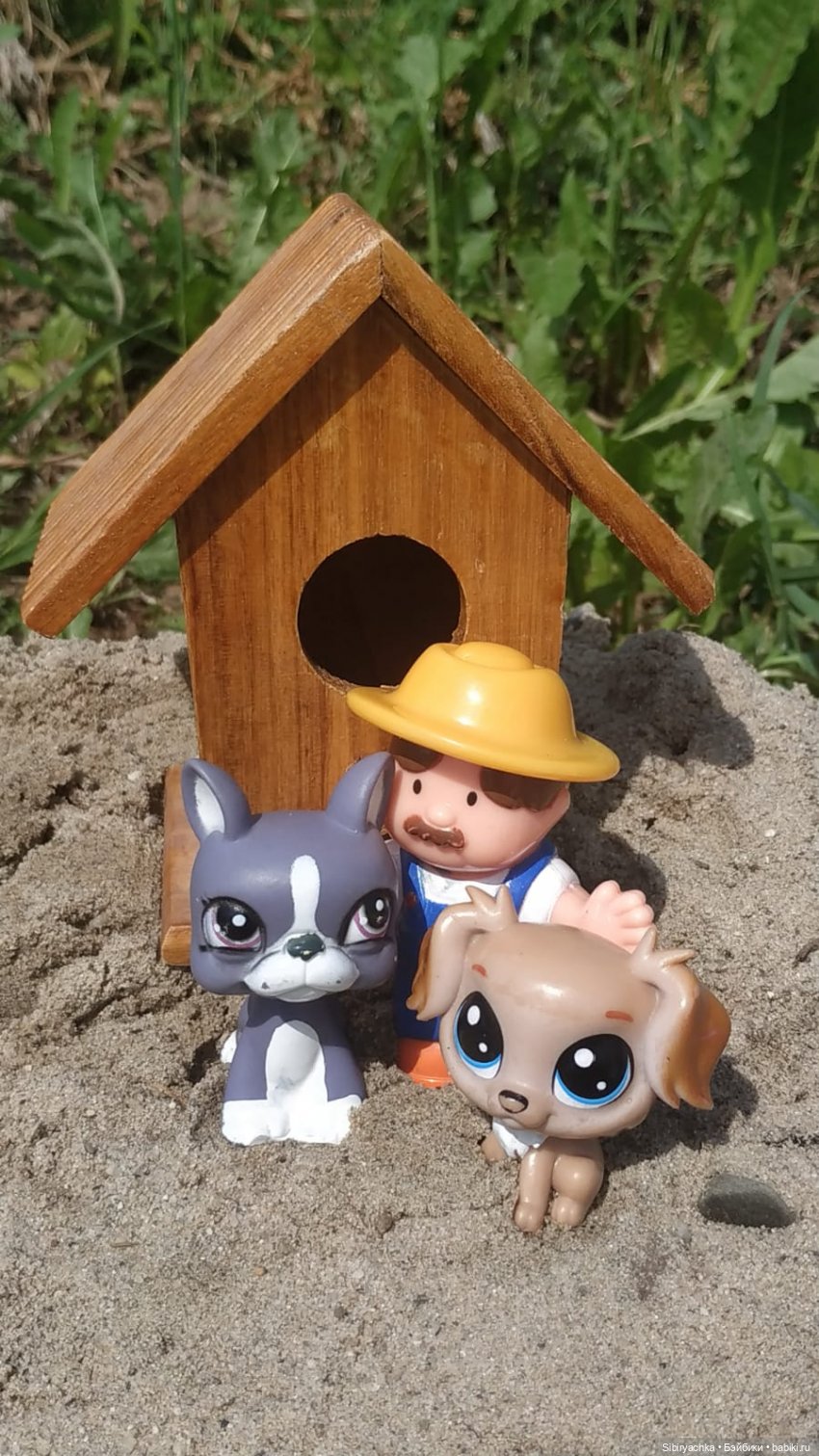 Обычный летний день в деревне Радость