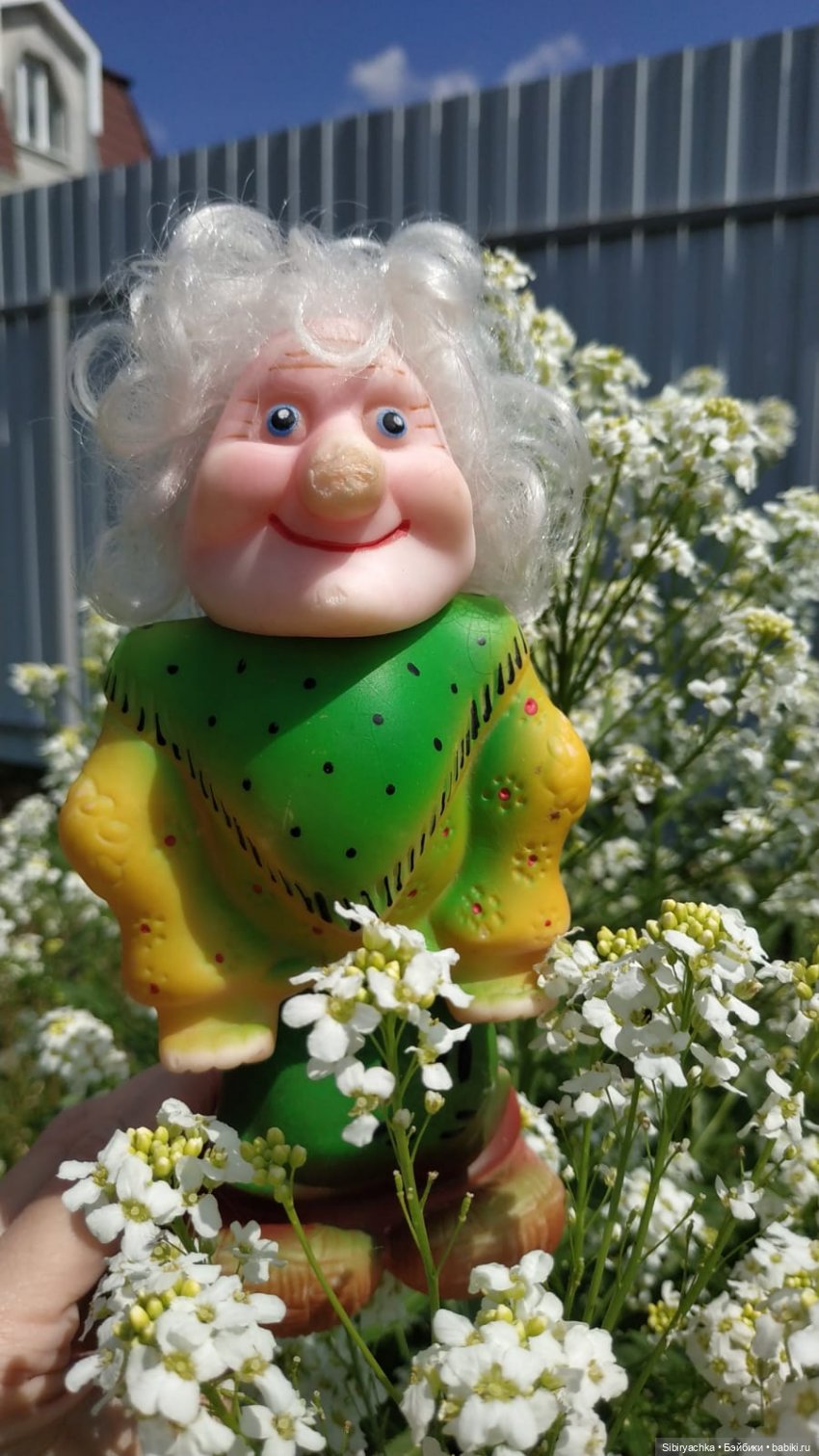 Обычный летний день в деревне Радость (фото 5)