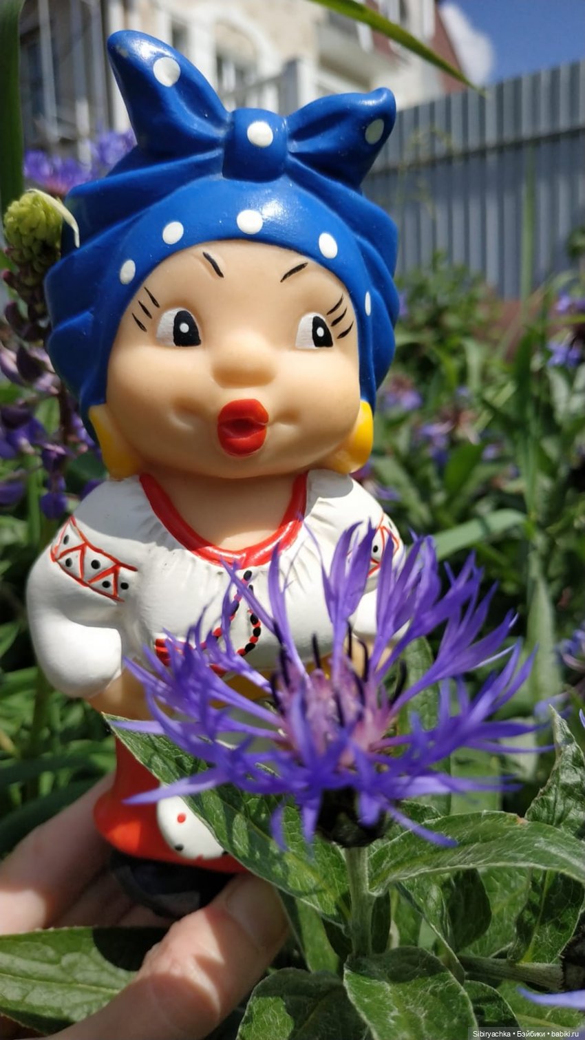 Обычный летний день в деревне Радость (фото 8)